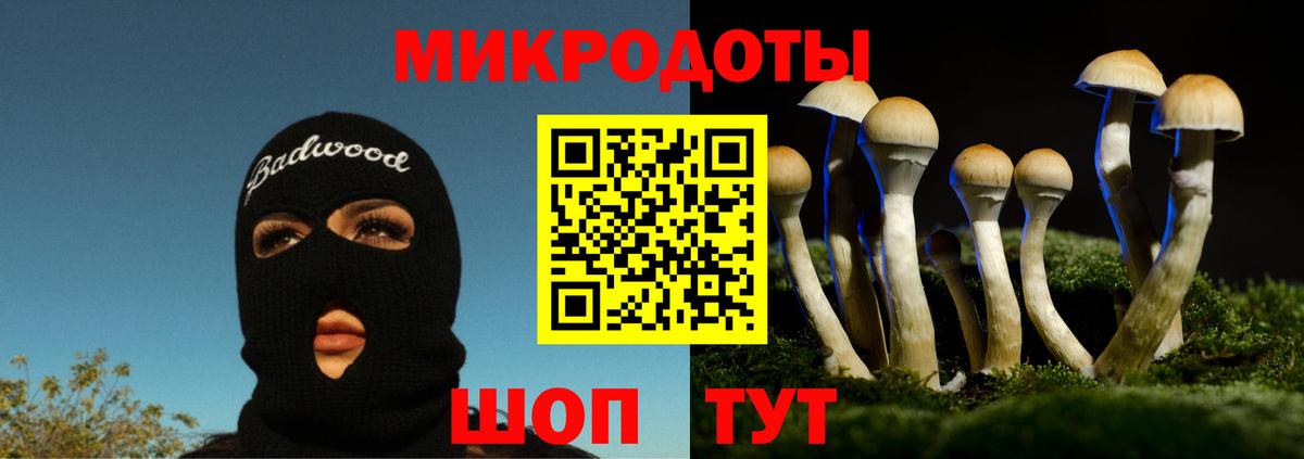 Донской  Псилоцибиновые грибы GOLDEN TEACHER  Вход с VPN 